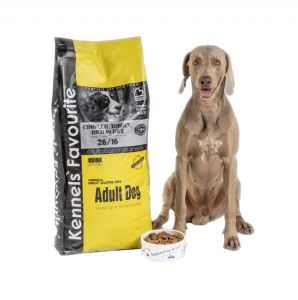Kennels' Favourite Adult dog, 20 kg