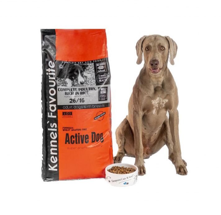 Kennels' Favourite Active dog, 20 kg