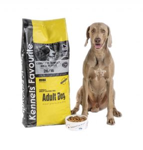 Kennels' Favourite Adult dog, 20 kg