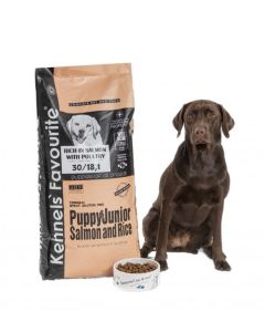 Kennels' Favourite Puppy&junior Salmon, 20 kg